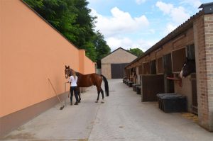 Les installations et infrastructures des Écuries de l'Abbaye