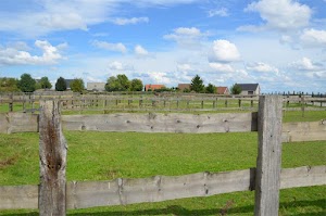 Les Ecuries de l'Abbaye SPRL